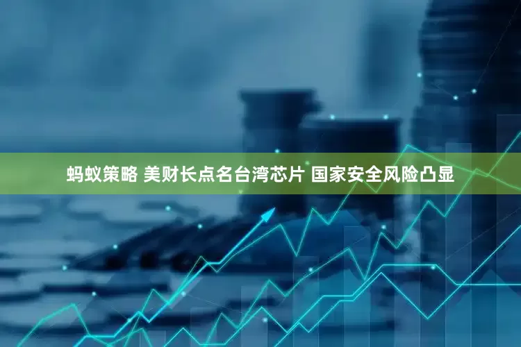 蚂蚁策略 美财长点名台湾芯片 国家安全风险凸显