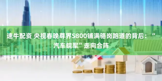 速牛配资 央视春晚尊界S800铺满骆岗跑道的背后：“汽车皖军”走向合阵