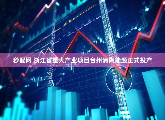 秒配网 浙江省重大产业项目台州清陶能源正式投产